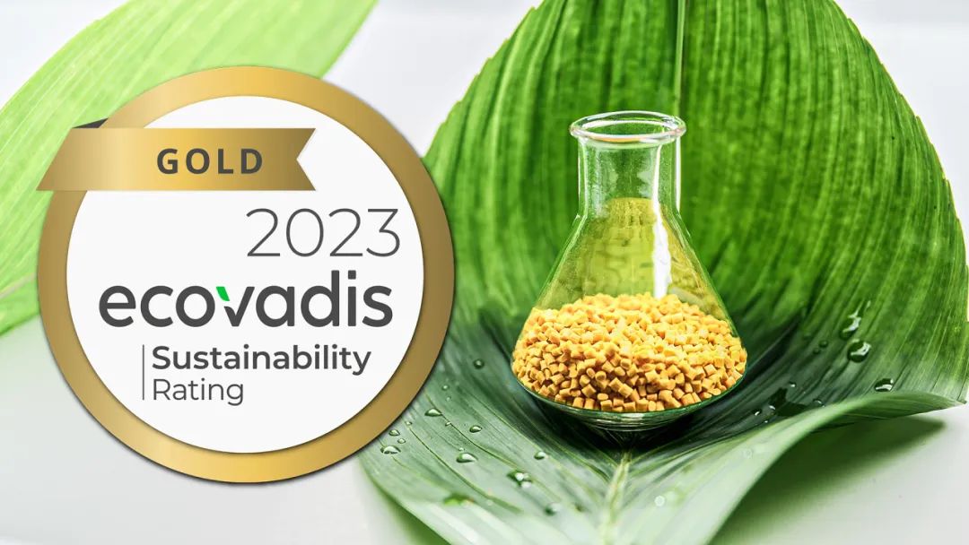 DOMO化学获EcoVadis 金牌评定.jpg